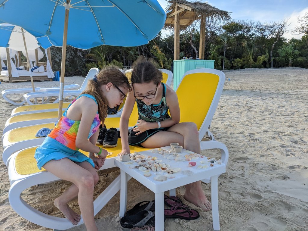 girls looking at shells