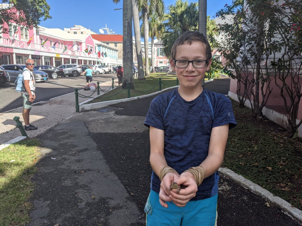 boy holding lizard