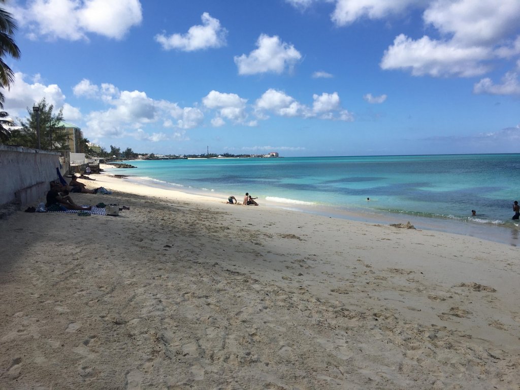 beach and ocean