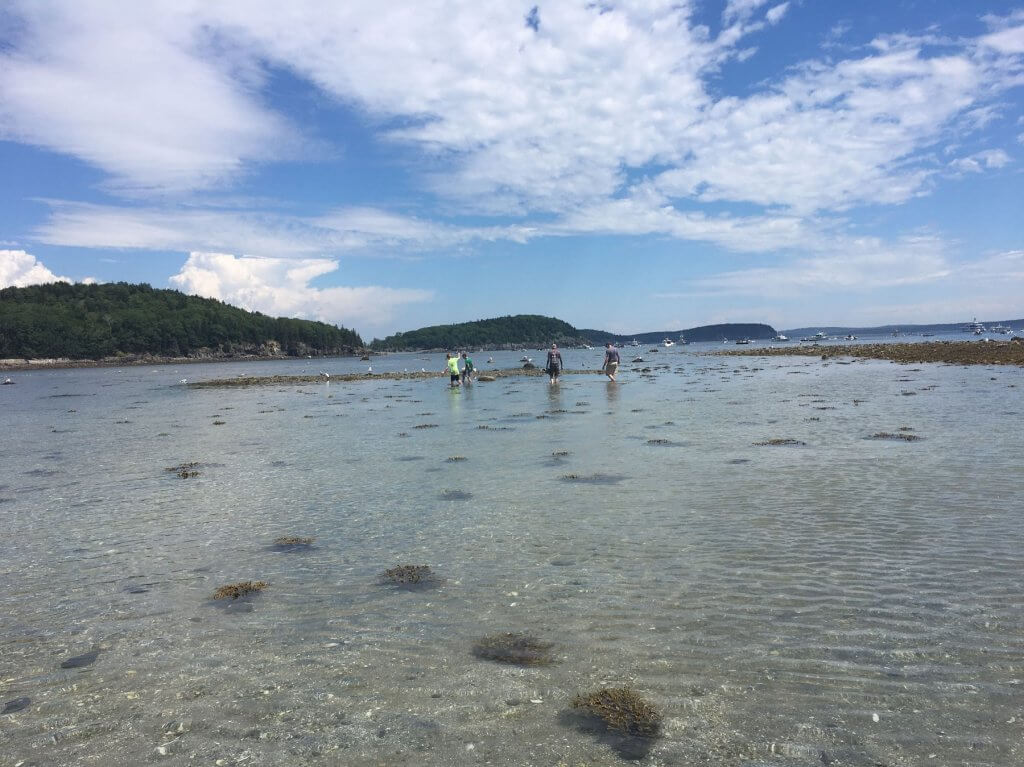 people walking in shallow ocean water