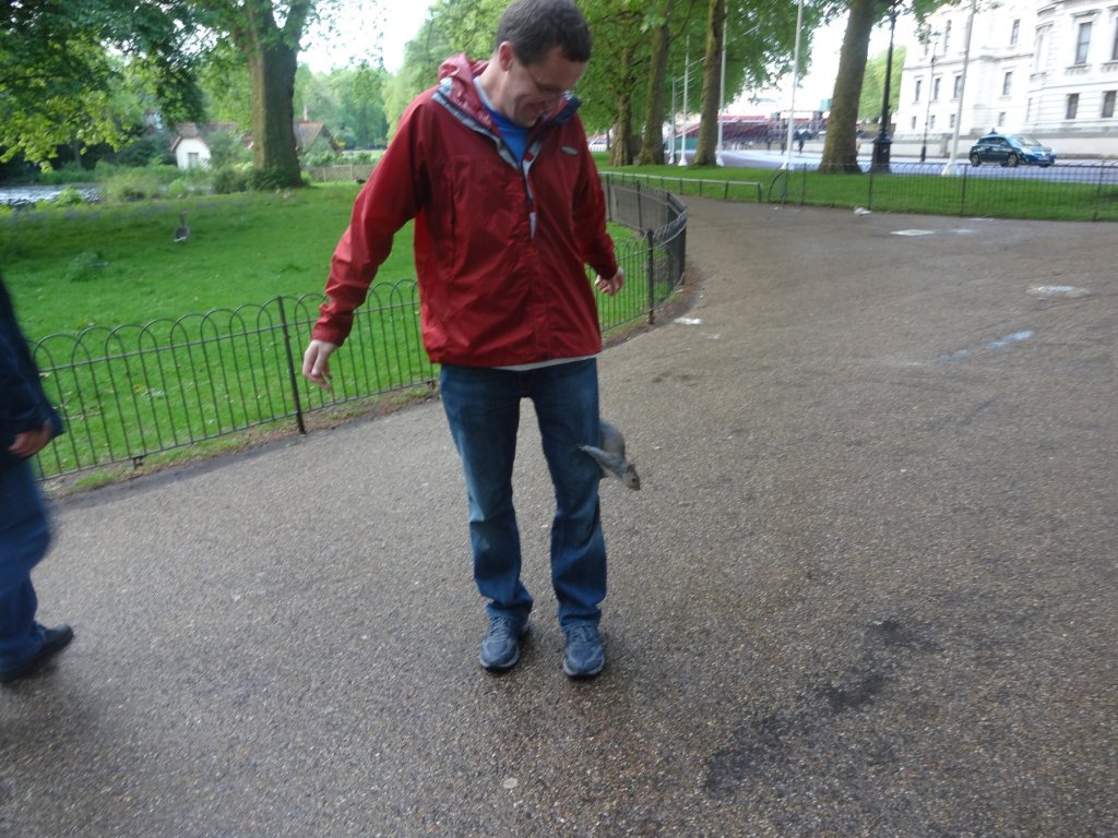 squirrel on man's leg