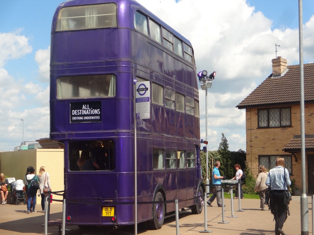 tall purple bus