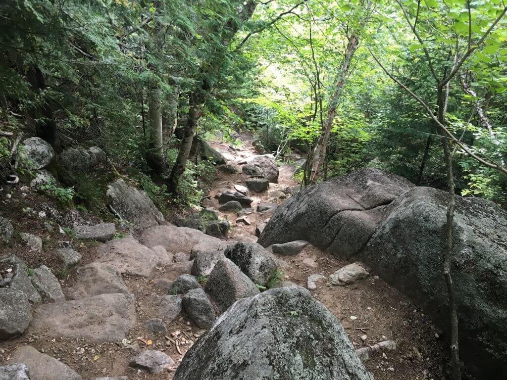 rocky hiking path