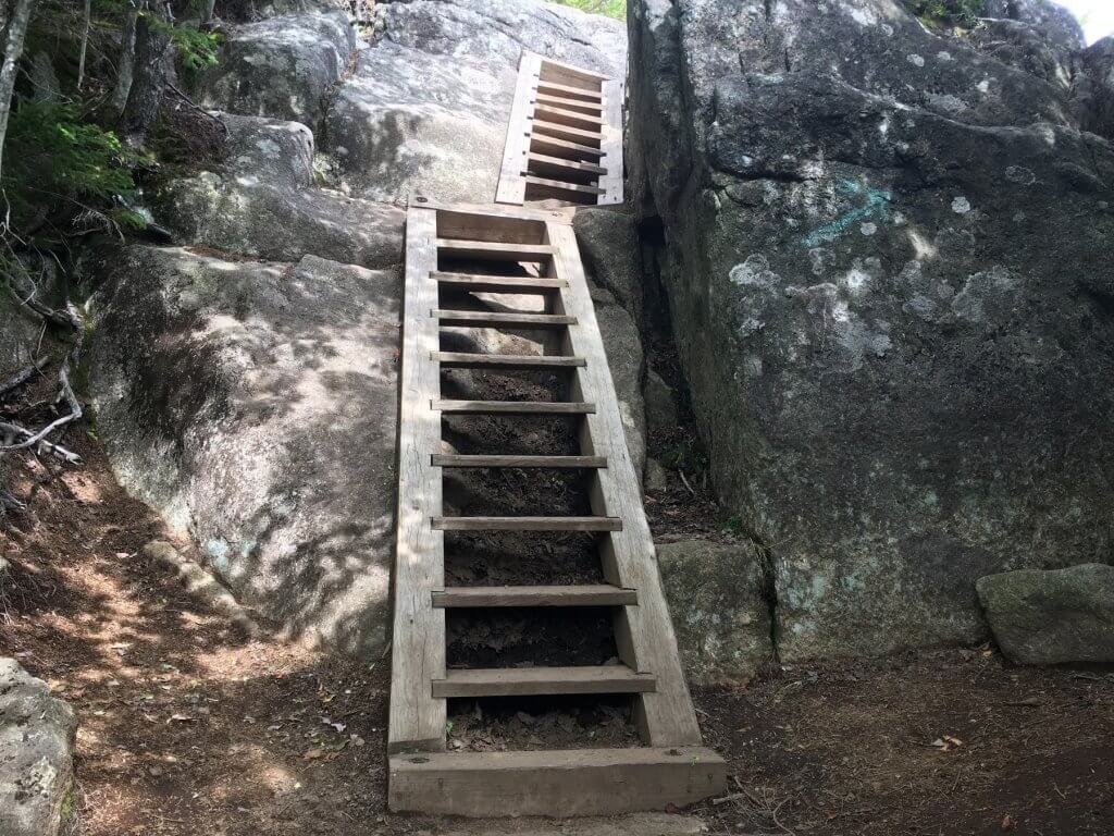 ladders on a hiking trail