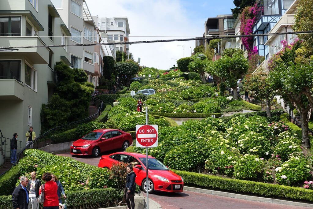 cars on curvy road