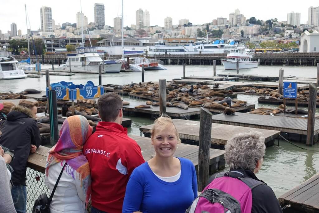 people in front of pier with seals