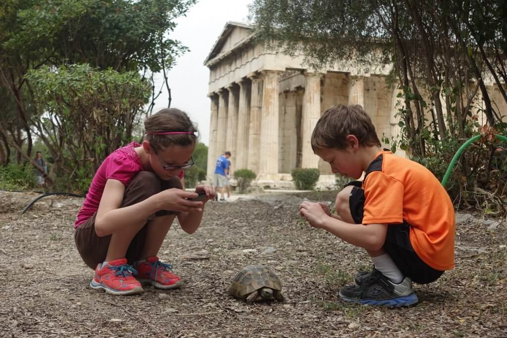 two kids taking picture of a turtle