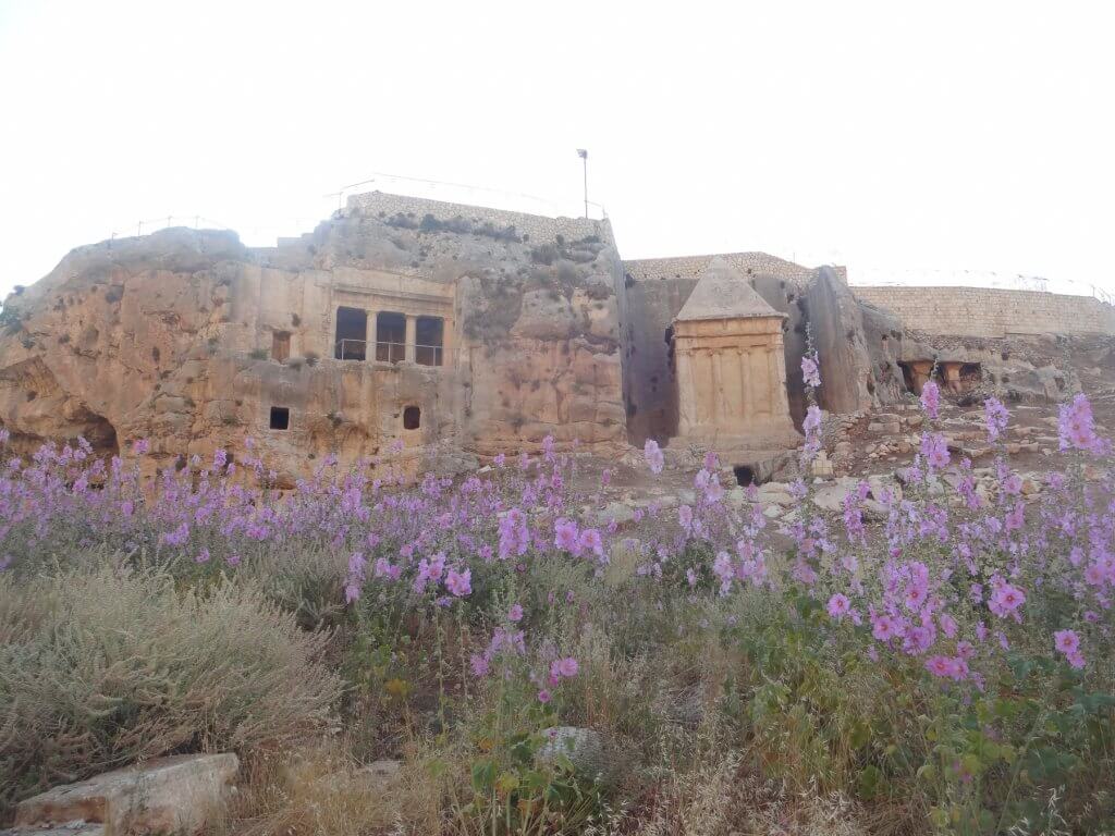 ancient monuments with purple flowers