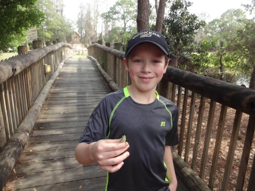 boy on a wooden bridge with a lizard