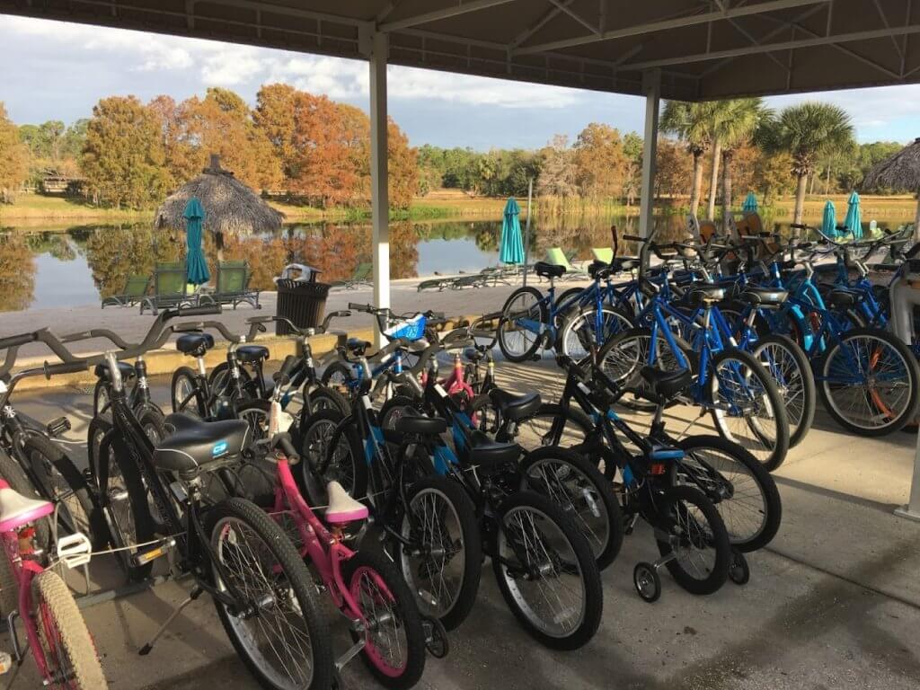 adult and children's bikes