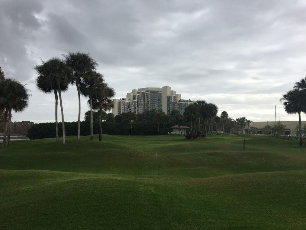 grassy hills with palm trees and hotel