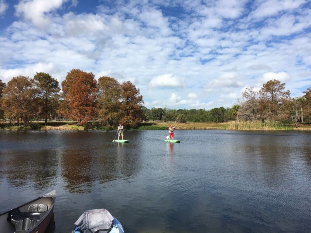 man and woman on paddle boards