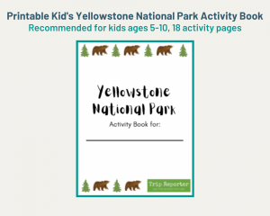 Yellowstone National Park Kid's Activity Book