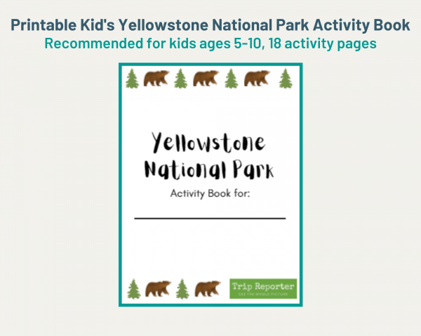Yellowstone National Park Kid's Activity Book
