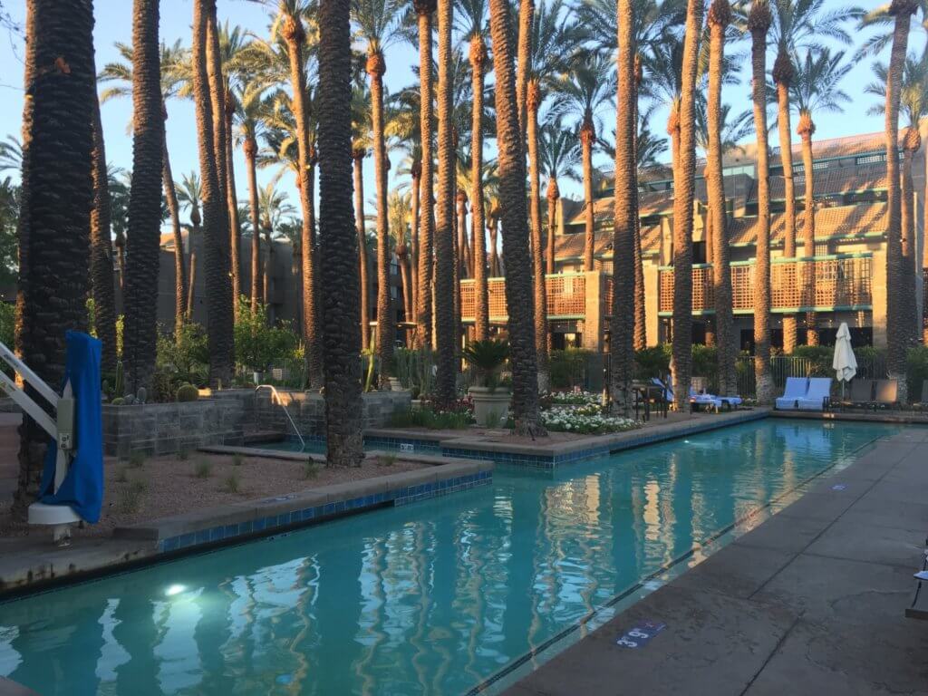 palm trees and narrow swimming pool