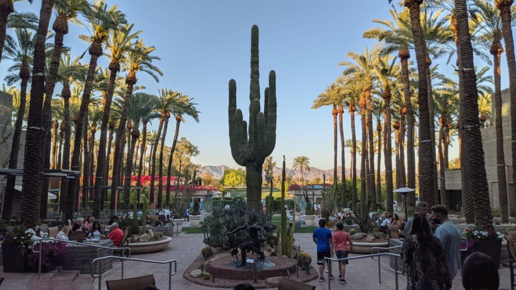 saguaro cactus