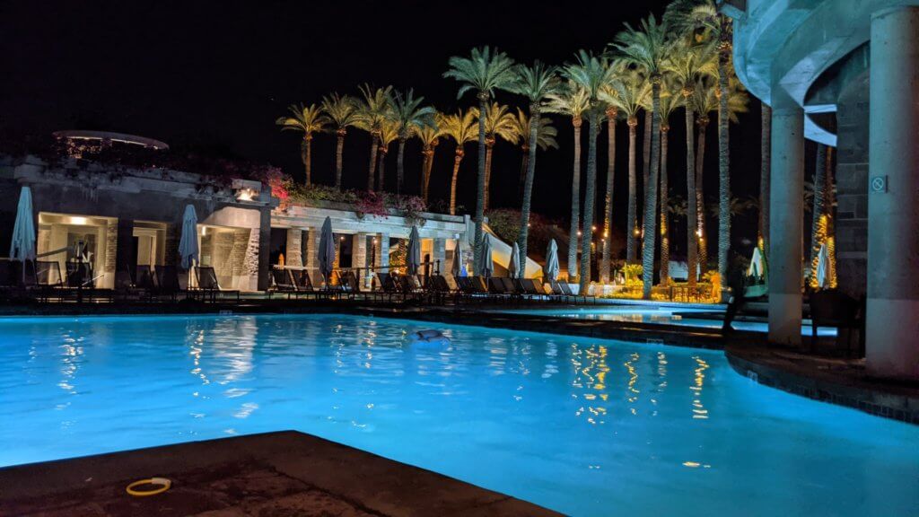 pole and palm trees at night