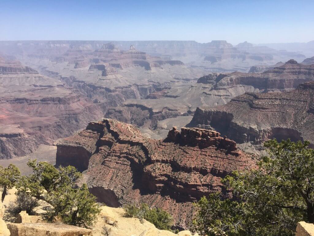 canyon view with trees