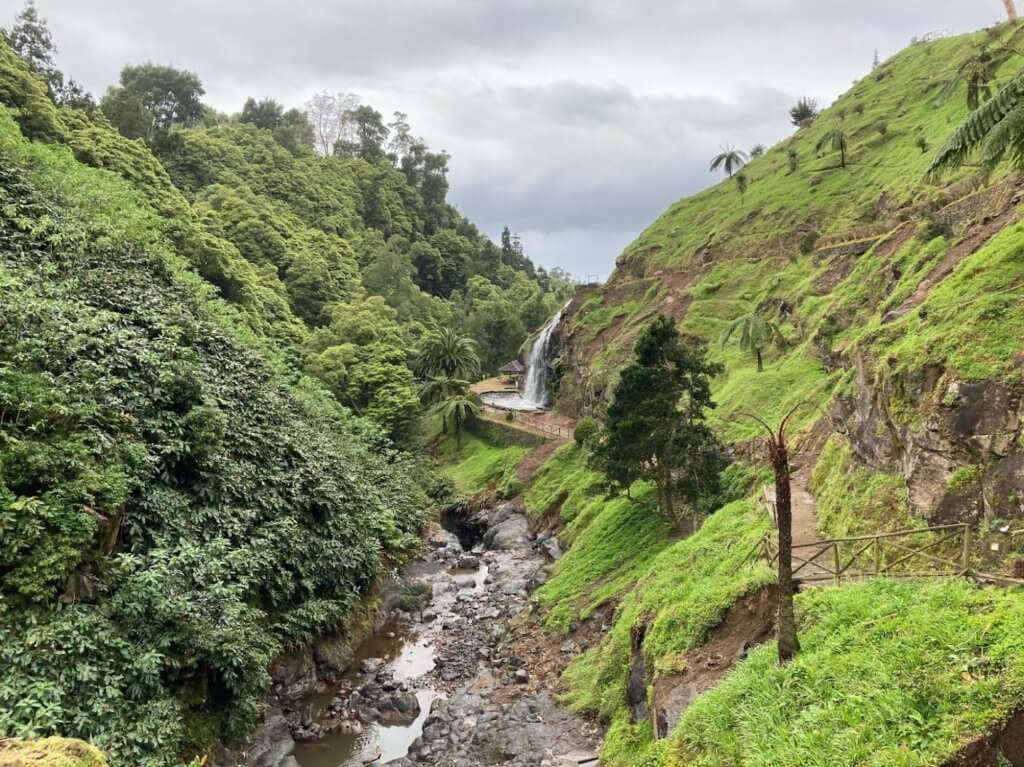 waterfall surrounded by green plants