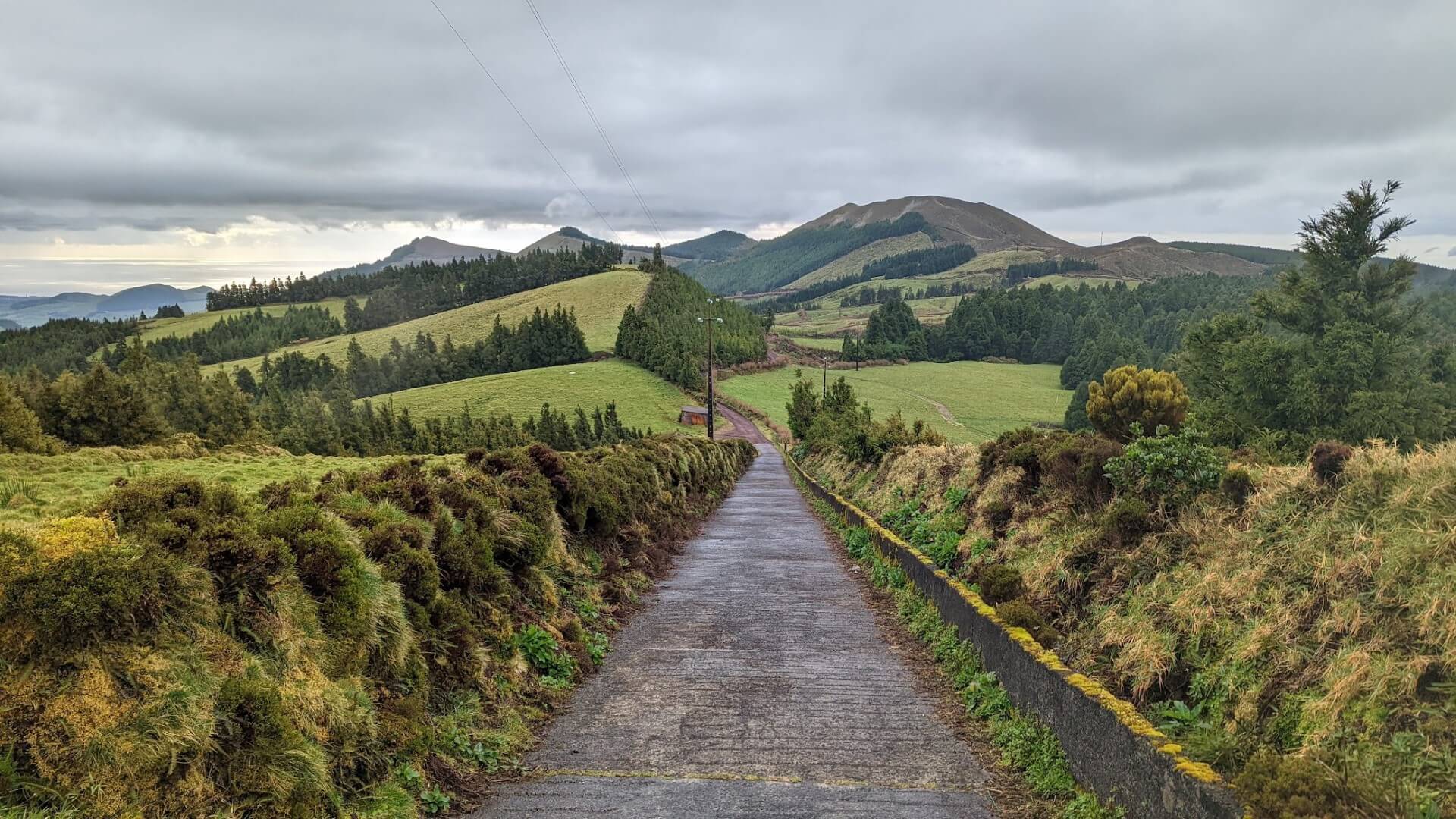 trail through green hills