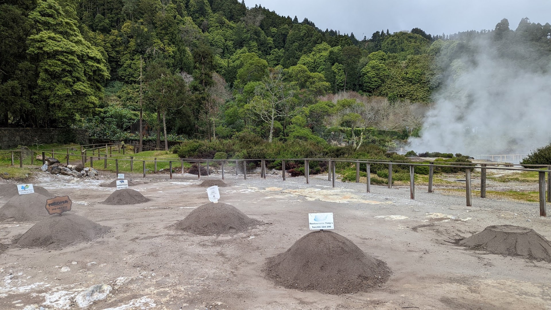 piles of dirt with steam and green trees