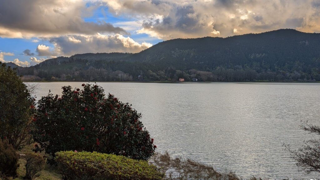 lake with foliage